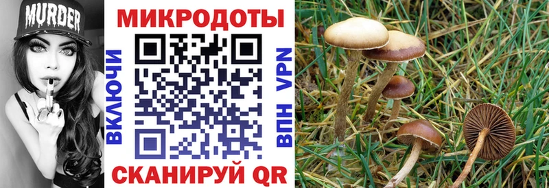 Псилоцибиновые грибы ЛСД  Сольвычегодск 
